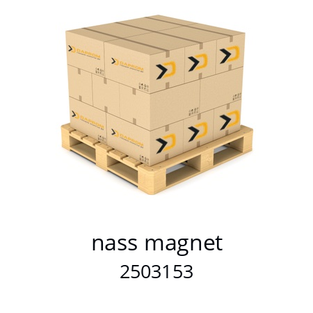   nass magnet 2503153