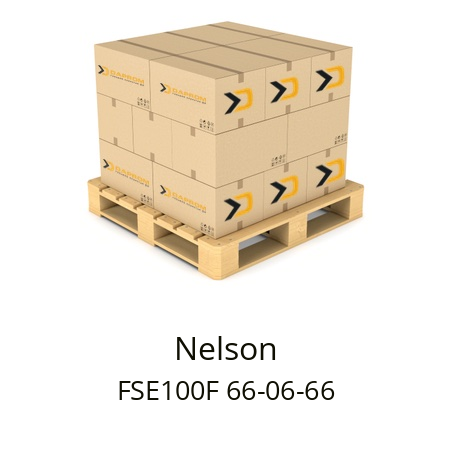  FSE100F 66-06-66 Nelson 