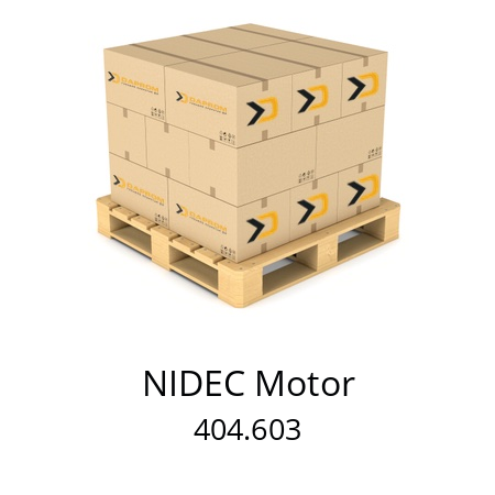  SWF 404603 NIDEC Motor 404.603