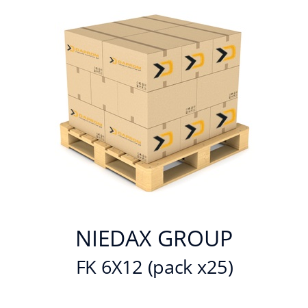   NIEDAX GROUP FK 6X12 (pack x25)