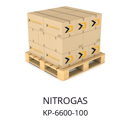   NITROGAS KP-6600-100