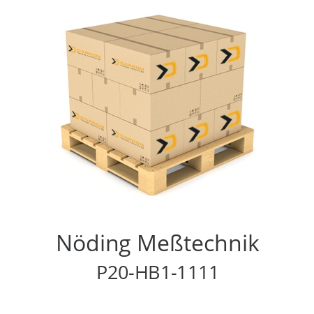   Nöding Meßtechnik P20-HB1-1111