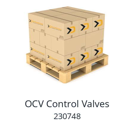   OCV Control Valves 230748