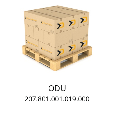   ODU 207.801.001.019.000