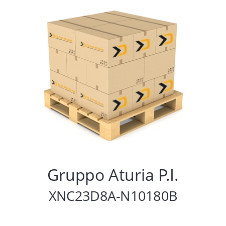   Gruppo Aturia P.I. XNC23D8A-N10180B