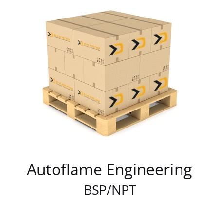   Autoflame Engineering BSP/NPT