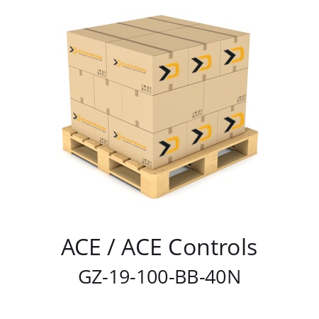   ACE / ACE Controls GZ-19-100-BB-40N