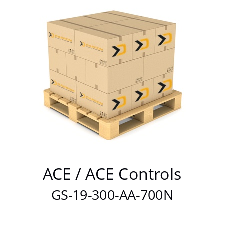   ACE / ACE Controls GS-19-300-AA-700N