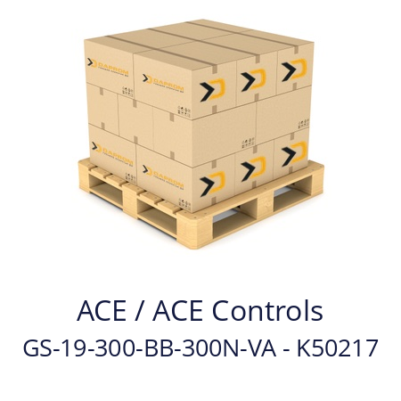   ACE / ACE Controls GS-19-300-BB-300N-VA - K50217