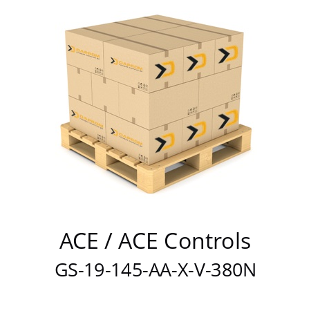   ACE / ACE Controls GS-19-145-AA-X-V-380N