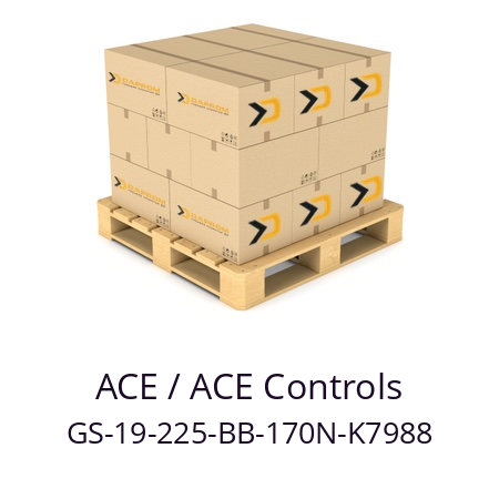   ACE / ACE Controls GS-19-225-BB-170N-K7988