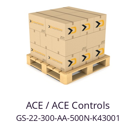   ACE / ACE Controls GS-22-300-AA-500N-K43001