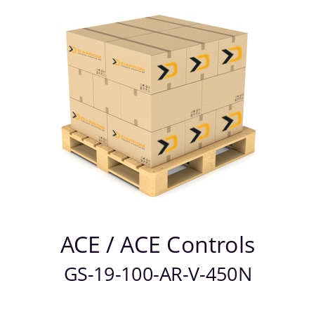   ACE / ACE Controls GS-19-100-AR-V-450N