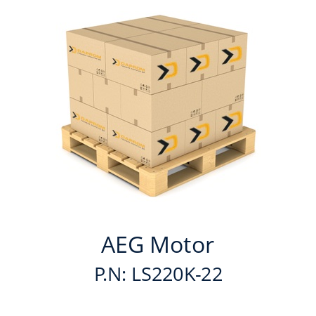   AEG Motor P.N: LS220K-22