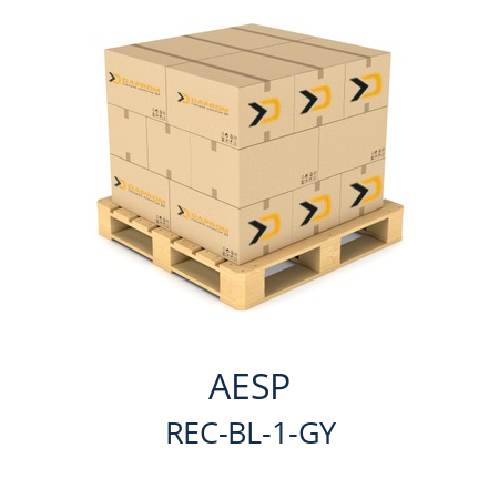   AESP REC-BL-1-GY