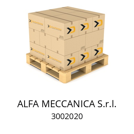   ALFA MECCANICA S.r.l. 3002020