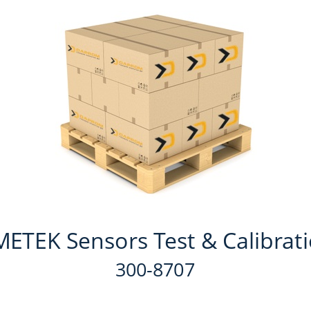   AMETEK Sensors Test & Calibration 300-8707