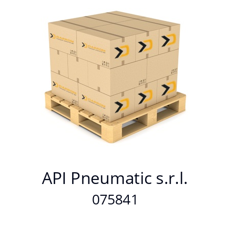   API Pneumatic s.r.l. 075841