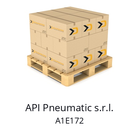  A1E172 API Pneumatic s.r.l. 