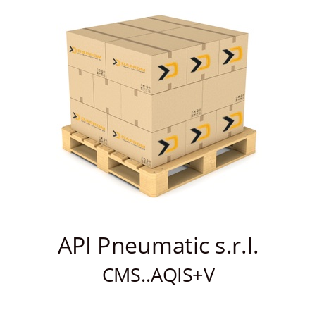  CMS..AQIS+V API Pneumatic s.r.l. 