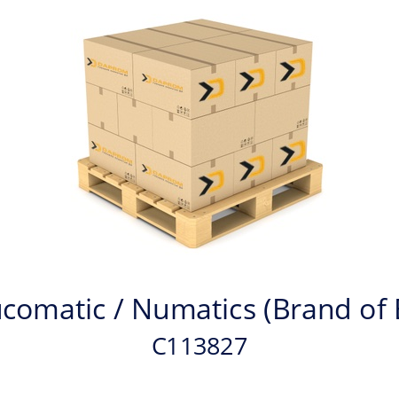   ASCO Joucomatic / Numatics (Brand of Emerson) C113827