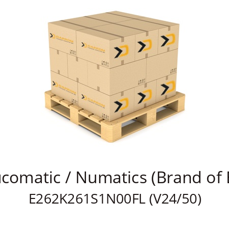   ASCO Joucomatic / Numatics (Brand of Emerson) E262K261S1N00FL (V24/50)