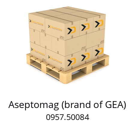  V 80-2061 Aseptomag (brand of GEA) 0957.50084