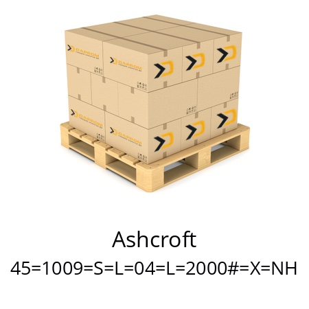   Ashcroft 45=1009=S=L=04=L=2000#=X=NH