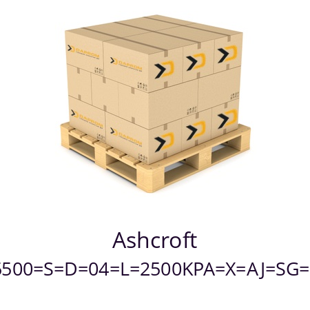   Ashcroft 100=T5500=S=D=04=L=2500KPA=X=AJ=SG=NH=EN