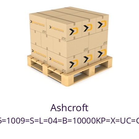   Ashcroft 45=1009=S=L=04=B=10000KP=X=UC=GR