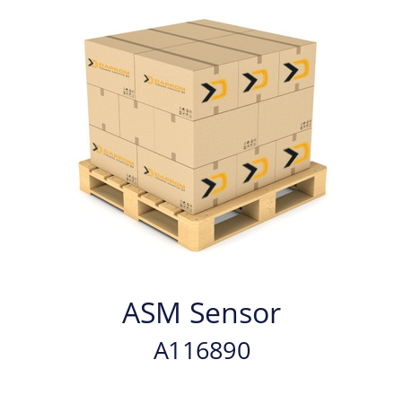   ASM Sensor A116890