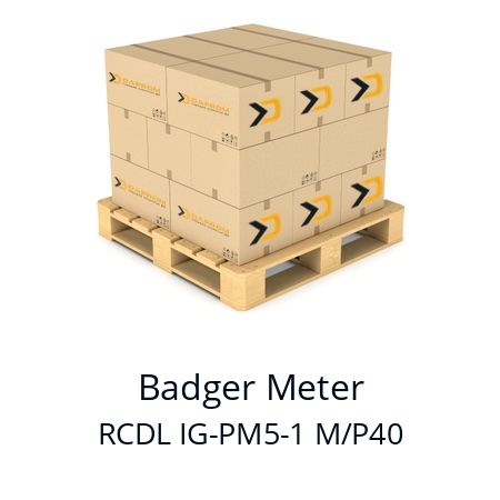   Badger Meter RCDL IG-PM5-1 M/P40