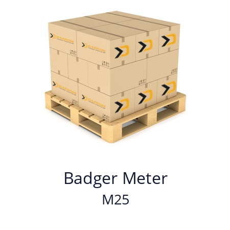   Badger Meter M25