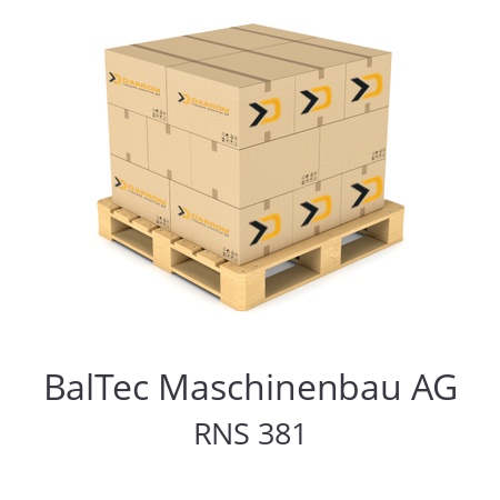   BalTec Maschinenbau AG RNS 381