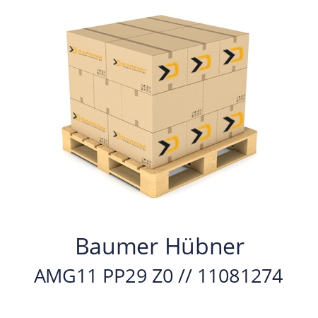   Baumer Hübner AMG11 PP29 Z0 // 11081274