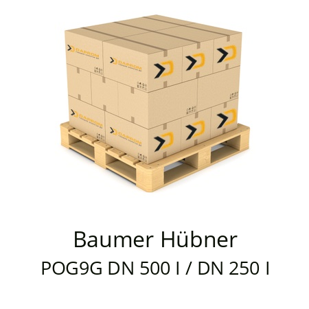   Baumer Hübner POG9G DN 500 I / DN 250 I