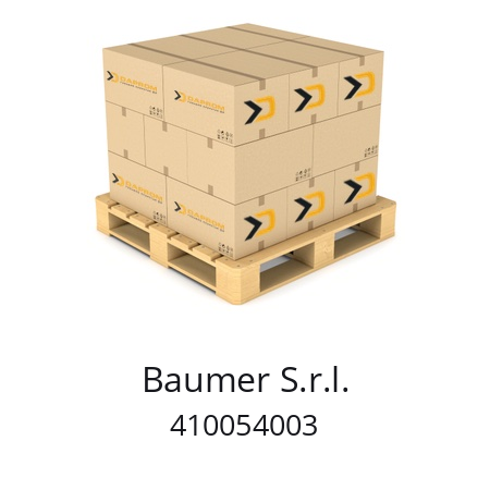   Baumer S.r.l. 410054003