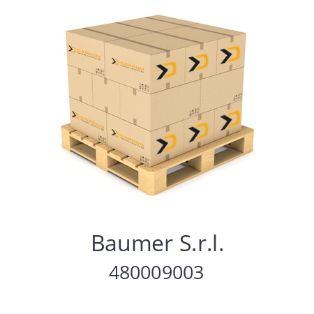   Baumer S.r.l. 480009003