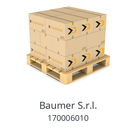   Baumer S.r.l. 170006010