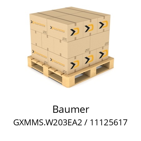  GXMMS.W203EA2 / 11125617 Baumer 