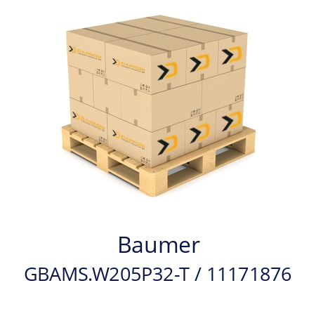  GBAMS.W205P32-T / 11171876 Baumer 