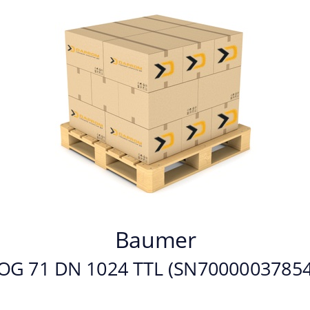  HOG 71 DN 1024 TTL (SN700000378544) Baumer 