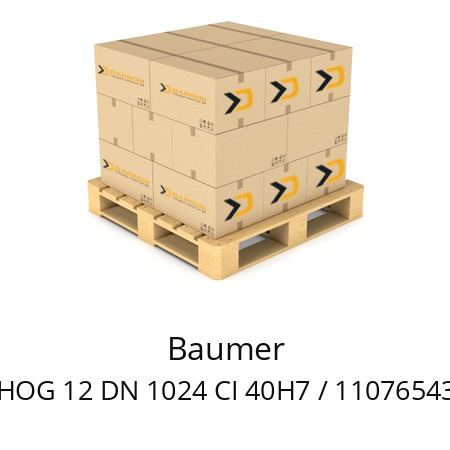  HOG 12 DN 1024 CI 40H7 / 11076543 Baumer 