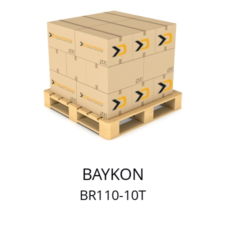   BAYKON BR110-10T