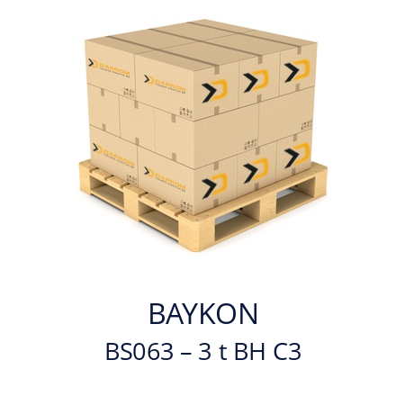   BAYKON BS063 – 3 t BH C3