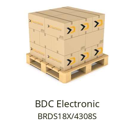   BDC Electronic BRDS18X/4308S