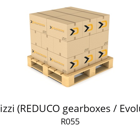   Benzi & di Terlizzi (REDUCO gearboxes / Evolution / Energy) R055