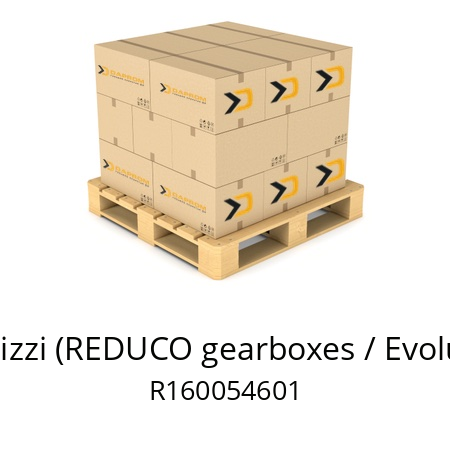   Benzi & di Terlizzi (REDUCO gearboxes / Evolution / Energy) R160054601