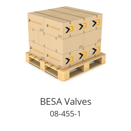   BESA Valves 08-455-1