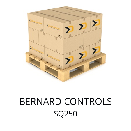   BERNARD CONTROLS SQ250